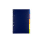 Cambridge Disc Dividers - Small - 5  Sheets-Set of 5 poly dividers in assorted colours