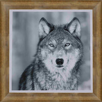 Wolf Black & White Portrait - Framed Print - 33" x 29"-High-quality art print professionally matted and framed