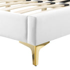 Modway Current Performance Velvet Queen Platform Bed with Gold Metal Legs - White-Assembly Required