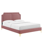 Modway - Novi Lit King en velours haute performance avec pieds en métal doré et embouts - Vieux rose-Velours de performance résistant aux taches