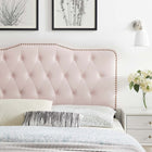 Modway Sophia Tufted Performance Velvet Full/Queen Headboard - Pink-Performance Velvet Upholstery