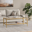 Hudson&Canal Hera 45"W Rectangular Coffee Table with Glass Shelf - Antique Brass-Handcrafted brass finish applied to a steel frame