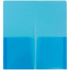 JAM Paper - Mini dossiers en plastique robuste à deux pochettes - 4 1/4 x 9 1/8 - bleu - 6/paquet-Taille : taille du chèque (4,25 x 9,125 pouces)