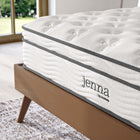 Modway - Jenna 10 po Ressorts et mousse Matelas Queen-Bobines enveloppées individuellement de 8,5 po