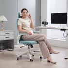 Vinsetto Mesh Office Chair with Headrest and 4D Lumbar Support - Light Green-Adjustable seat height to fit your sitting style