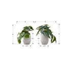 Monarch Specialties 8" Artificial Indoor Alocasia - Table - White Cement Pots - Set of 2-These easy-care, faux potted plants are made from the highest quality materials and require no maintenance or watering, for a sustainable, environmentally friendly decorative accents that will last a lifetime
