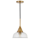 Hudson&Canal - Suspension Magnolia de 27,3 cm de large avec abat-jour en verre - Laiton/graines-Design moderne et contemporain pour votre entrée, votre foyer ou votre cuisine