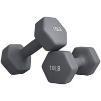 Soozier Hexagonal Dumbbells - Set of 2-Two dumbbells, each 10lb