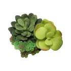 Monarch Specialties 7" Artificial Indoor Succulent Green Plants - Table - Glossy Black Pots - Set of 2-7
