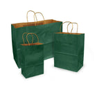 Eddie's 100% Recycled Kraft Shopper Paper Bag - 16" L x 6" W x 12" D - Forest Green - 100 Pack-100% recycled with at least 95% post-consumer fibres.