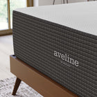 Modway Aveline 16" Memory Foam Queen Mattress-Stretch Knit Zipper Removable Cover