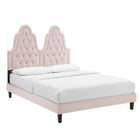Modway Alexandria Tufté Performance Velours Lit Plateforme Twin Avec Pieds en Bois Noir - Rose-Velours de performance résistant aux taches