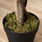 Outsunny 5.3' Potted Artificial Ficus Tree - Green-Low maintenance required 