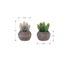 Monarch Specialties 9364 8" Tall Artificial Succulents - Brown Cement Pots - Set of 2-Built for lasting confidence, this artificial plant set is backed by a 5-year limited warranty, ensuring reliable quality and peace of mind