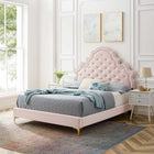 Modway Gwyneth Tufted Performance Velvet Queen Platform Bed with Gold Metal Legs - Pink-Bed Frame Weight Capacity: 800 lb