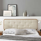 Modway Collins Tufted Fabric and Wood Twin Headboard - Walnut Beige-Rubberwood and MDF