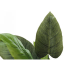 Monarch Specialties 37" Artificial Indoor Aureum Tree - Floor - Black Pot-5 year limited warranty against manufacturer's defects