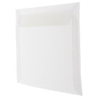 JAM Paper 9 x 12 Booklet Envelopes, Translucent Vellum Clear, 100 Pack (2851371g)-Size: 9" x 12"