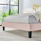 Modway Daisy Performance Velvet Full Platform Bed - Pink-Tapered Wood Legs
