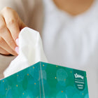 Kleenex Professional Facial Tissue - 2-Ply - Upright Facial Tissue Cube Boxes for Business - White-White
