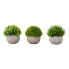 Monarch Specialties - Plante Artificielle - 5 po H - Gazon - Mis En Pot - Ensemble De 3 - Plantes Vertes - Pots Gris-Créez votre propre oasis avec cet ensemble de 3 plantes artificielles de 5 pouces de haut dans des pots gris durables en pâte à papier