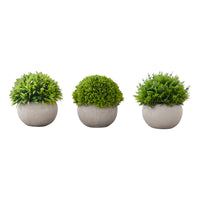 Monarch Specialties - Plante Artificielle - 5 po H - Gazon - Mis En Pot - Ensemble De 3 - Plantes Vertes - Pots Gris-Créez votre propre oasis avec cet ensemble de 3 plantes artificielles de 5 pouces de haut dans des pots gris durables en pâte à papier