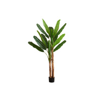 Monarch Specialties - Plante Artificielle - 83 po Heur - Bananier - Mis En Pot - Touche Réelle - Feuilles Vertes - Pot Noir-Le bananier artificiel de 83 pouces de haut, avec ses 16 grandes feuilles vertes panachées, est un élément vivant et tropical pour la maison ou le bureau