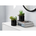 Monarch Specialties 7" Artificial Indoor Succulent Green Plants - Table - Glossy Black Pots - Set of 2-Realistic faux succulents that require no maintenance, no watering, or special light conditions to place anywhere that needs a pop of greenery