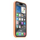 Apple - Étui en silicone avec MagSafe pour iPhone 15 Pro - Orange Sorbet-À l'intérieur, il y a une doublure en microfibre douce pour encore plus de protection