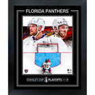 Florida Panthers 2025 Stanley Cup Playoffs - Framed Print - 20" x 16"-Premium virtual frames
