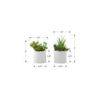 Monarch Specialties - Plante Artificielle - 7 po H - Succulent - En Pot - Ensemble De 2 - Plantes Vertes - Pots Céramiques Blancs-Ces fausses plantes vertes faciles à entretenir sont fabriquées à partir de matériaux de la plus haute qualité et ne nécessitent ni entretien ni arrosage, pour des accents décoratifs durables et respectueux de l'environnement qui dureront toute une vie