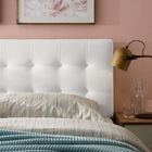 Modway Lily Biscuit Tufted Performance Velvet Full Headboard - White-Elegant Biscuit Tufting