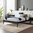 Modway June Wood Queen Platform Bed Frame - Black-Weight Capacity: 600 lb