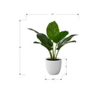 Monarch Specialties - Plante Artificielle - 17 po H - Aureum - Mis En Pot - Touche Réelle - Feuilles Vertes - Pot Blanc-Cette plante artificielle à entretien facile est fabriquée à partir des meilleurs matériaux et ne nécessite aucun entretien ni arrosage, pour un accent décoratif durable et respectueux de l'environnement qui durera toute une vie