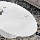Modway Lippa 48" Oval-Shaped Wood Coffee Table - White-Non-Marking Felt Pad