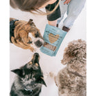Dexypaws Peanut Butter & Blueberries Dog Treats-Gentle on sensitive stomachs