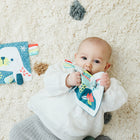 Miniland Feel to Learn: Crinkly Sensory Paper - Sea Lion-Grade VPK