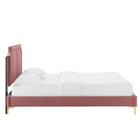 Modway - Novi Lit King en velours haute performance avec pieds en métal doré et embouts - Vieux rose-Poutre centrale renforcée