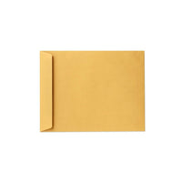LUX - Enveloppes 13 x 17, très grandes, 28 lb, brun kraft, 1000/boîte (85739-1000)-Les enveloppes jumbo 13 x 17 sont la solution idéale pour ranger des œuvres d'art, des cartes, des vêtements, des échantillons de produits, des vidéos, de la documentation marketing, des articles promotionnels, des cadeaux volumineux et des documents grand format.
