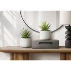 Monarch Specialties - 9362 Succulente Artificielle 9" de Haut - Pots en Ciment Blanc - Ensemble de 2-Conçues avec des matériaux de haute qualité, ces plantes artificielles respectueuses de l'environnement constituent une solution décorative durable tout en conservant une apparence luxuriante et naturelle