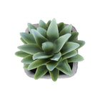 Monarch Specialties - 9363 Succulente Artificielle 8" de Haut - Pots en Ciment Gris - Ensemble de 2-Conçues avec des matériaux de haute qualité, ces succulentes artificielles offrent un aspect réaliste qui capture la beauté des plantes vivantes sans nécessiter de soins