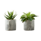 Monarch Specialties - Plante Artificielle - 6 po H - Succulent - En Pot - Ensemble De 2 - Feuilles Vertes - Pots En Ciment Gris-Créez votre propre oasis intérieure avec ce lot de 2 plantes succulentes artificielles d'intérieur