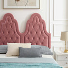 Modway Alexandria Tufté Performance Velours Lit Plateforme Twin Avec Pieds en Bois Noir - Vieux Rose-Poutre centrale renforcée et jambes de soutien