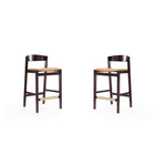 Manhattan Comfort - Klismos tabouret de comptoir 20" style milieu du siècle moderne, revêtement en similicuir, camel et noyer foncé, lot de 2-Tabouret de comptoir moderne du milieu du siècle avec dossier parfait pour le bar et la cuisine. Ensemble de 2