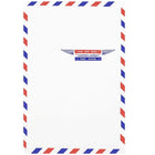 JAM Paper Enveloppes pour correspondance aérienne à ouverture au sommet, 6 x 9 po, 500/paquet-Enveloppes conçues pour la correspondance aérienne