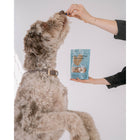 Dexypaws Peanut Butter & Blueberries Dog Treats-12oz