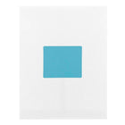 JAM Paper Mailing Address Labels - 3 1/3 x 4 - Blue - 2 sets of 120-5