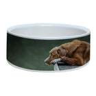 Staples Print Pet Bowl-Perfect for cats and dogs