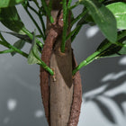 Outsunny 4' Artificial Laurel Tree in Pot - Green - 2 Pack-Colour: Green 