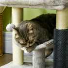 PawHut - Arbre à chat avec poteau à griffer en sisal, centre d’activités pour chaton - gris-Un design moderne aux tons neutres s'harmonise parfaitement avec la décoration intérieure 